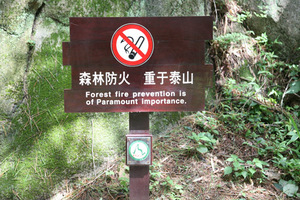 空降門
